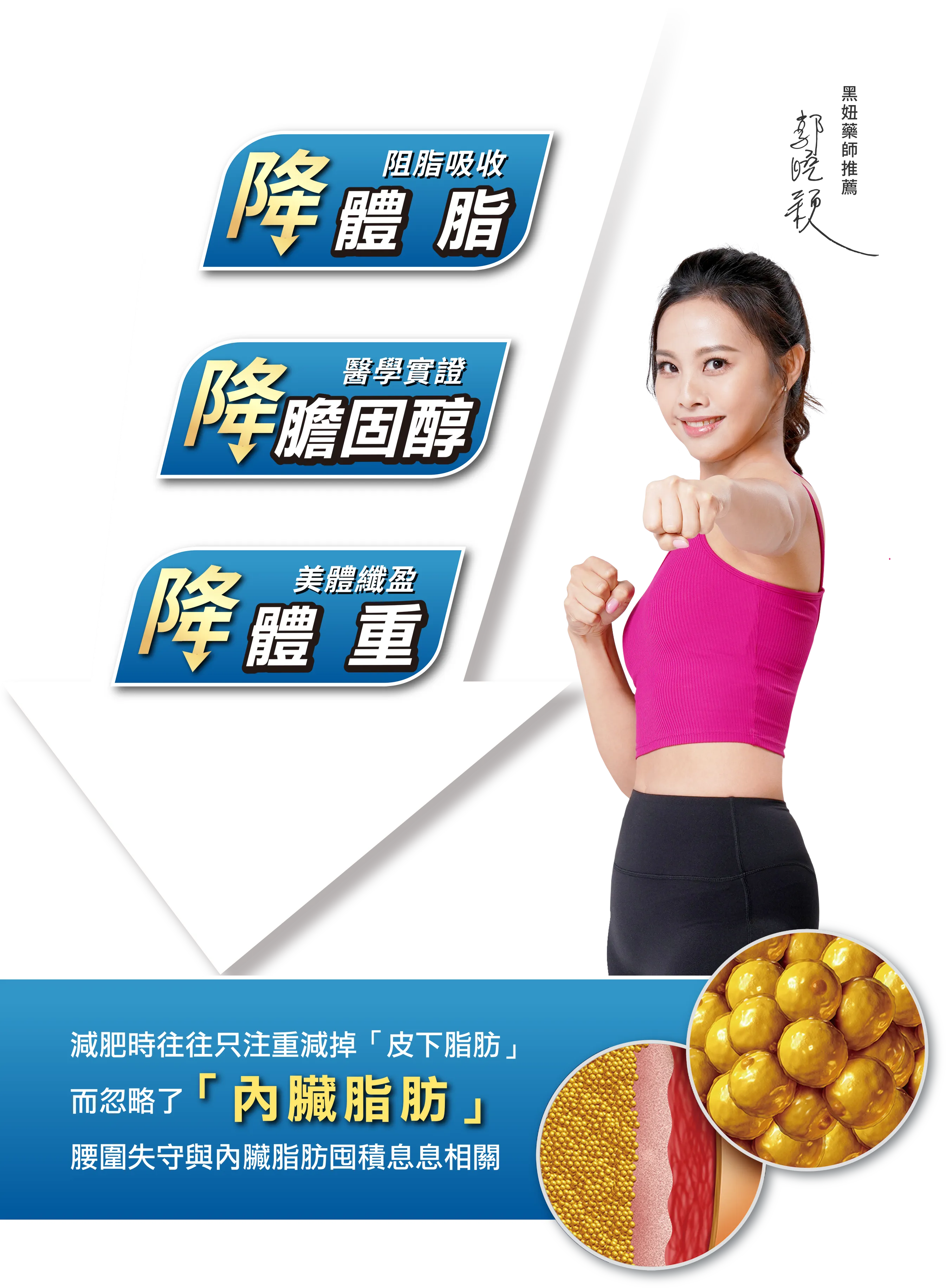 打擊膽固醇 消滅內臟脂肪 降低體脂肪